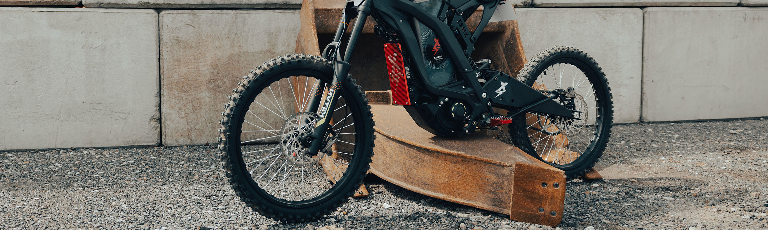 EBMX Custom Swing Arm